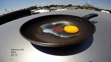 Avec la canicule, il cuit un oeuf en plein soleil !