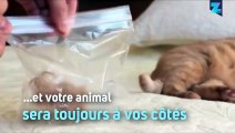 Une montre avec les poils de votre animal... Vraiment ?