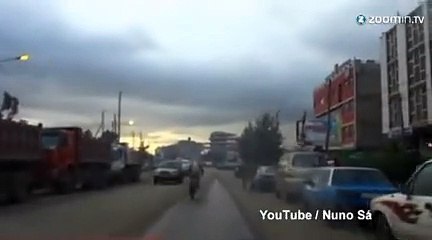 Une chèvre qui se prend pour un sac à dos