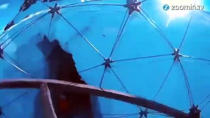 Ce drone indestructible peut aller dans les crevasses !