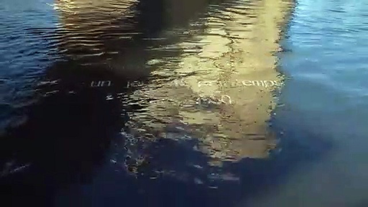 Reconstitution 3D : le Pont d'Avignon tel qu'il était en 1550