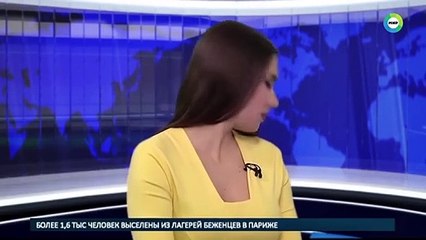 un chien fait irruption sur le plateau en plein JT !