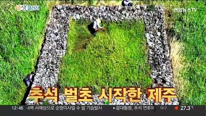 [생생갤러리] 서울 하늘 가르는 '블랙이글스' 外