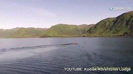 Une biche, sauvée des eaux froides