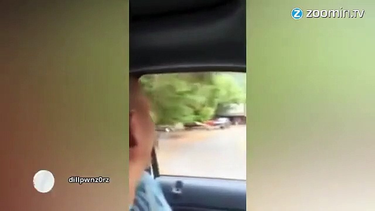 Quand une oie sauvage fait la course avec une voiture