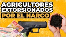 T4:E15 Así es como el crimen en Michoacán impacta a los agricultores