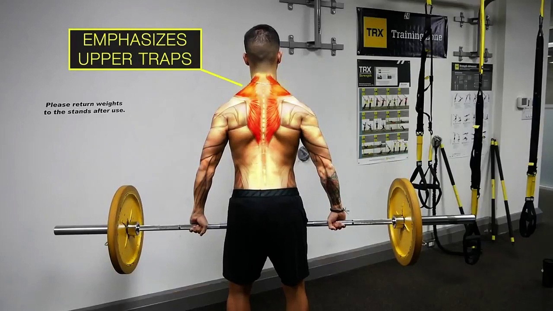 What Is Traps Workout