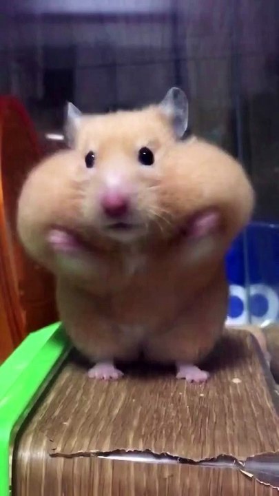 how cuteeeee