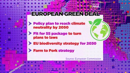 Brussels, My Love? EU climate chief quits Brussels for national politics