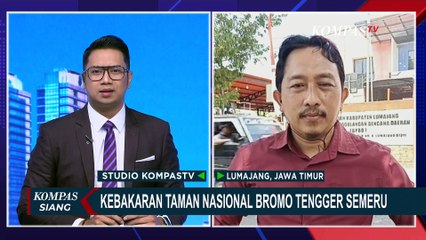 Download Video: Update Kebakaran Taman Nasional Bromo Tengger Semeru: Api Sudah Mengecil