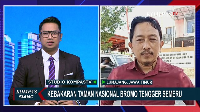 Update Kebakaran Taman Nasional Bromo Tengger Semeru: Api Sudah Mengecil
