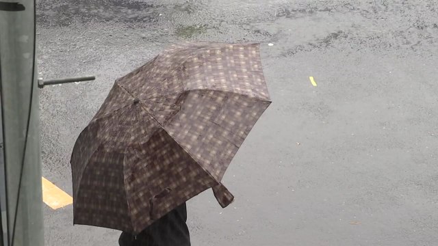 [날씨] 주말 서쪽 맑고 늦더위...남해안·제주 호우 / YTN