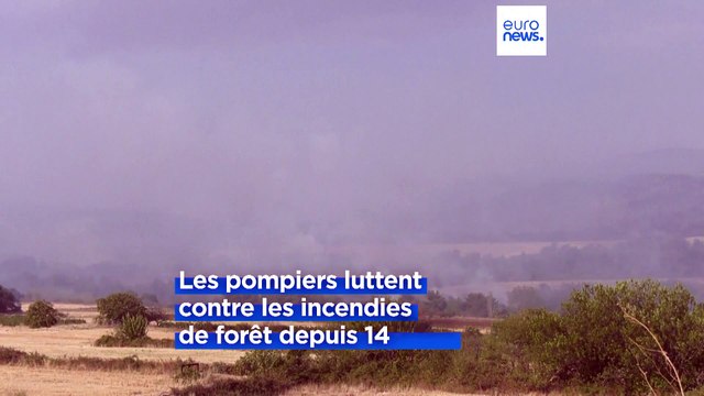 Incendies et inondations : la Grèce et l'Autriche en proie à des conditions météorologiques extrêmes