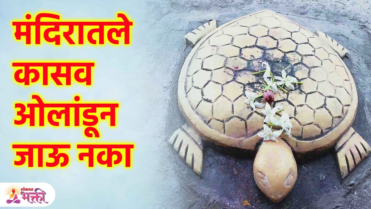 मंदिरात गाभाऱ्याबाहेर कासव असण्याचे प्रयोजन काय असेल? Do not cross the turtle in temple | KA3