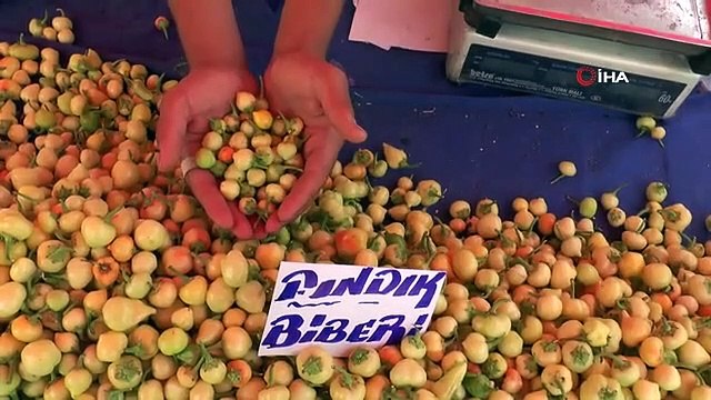 L'intérêt pour les produits de cornichons augmente à Eskişehir