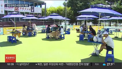 한강에 반려견 수영장 첫 개장…산책과 수영 모두 즐겨