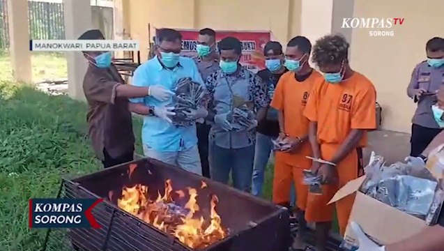 Direktorat Narkotika Polda Papua Barat Musnahkan Ganja Senilai Ratusan Juta