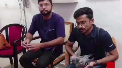 जबलपुर: युवाओं की दरियादिली, पंखे से टकराकर घायल हुए कबूतर की बचाई जान