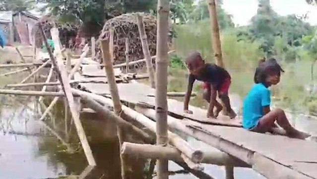 खगड़िया: कोसी में जलस्तर के वृद्धि से निचले इलाकों में घुसा बाढ़ का पानी, आवागमन ठप