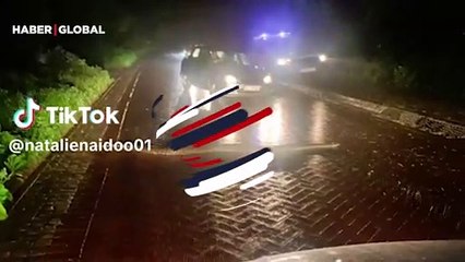 Karşıdan karşıya geçmeye çalışan dev yılan trafiği felç etti!