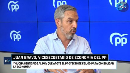 Juan Bravo: "Mucha gente pide al PNV que apoye el proyecto de Feijóo para consolidar la economía"
