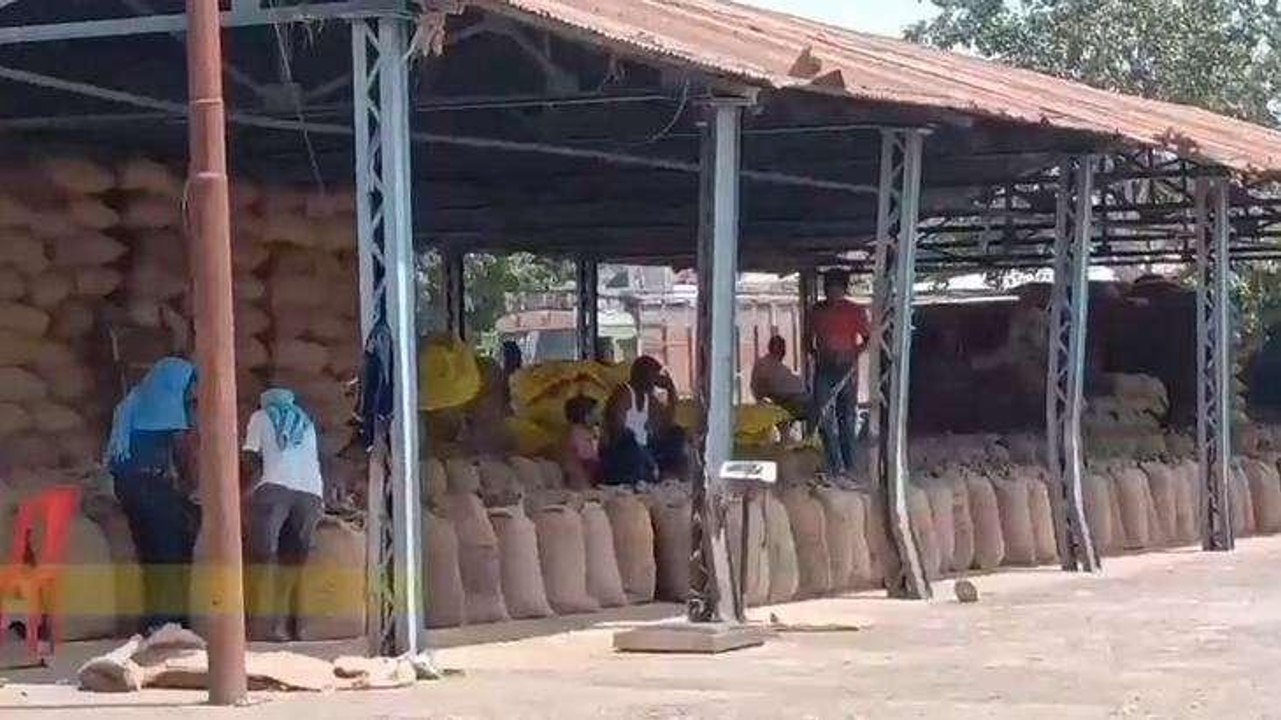 टिमरनी: 4 सितंबर से कृषि उपज मंडी व्यापारी करेंगे हड़ताल,जानिए क्या है पूरा मामला
