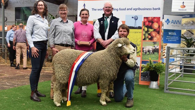 Royal Round-up Day 1