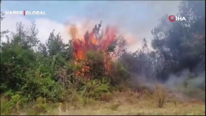 Sinop’ta yangın: 10 dönüm alan zarar gördü