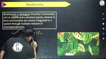 forest resource and wildlife