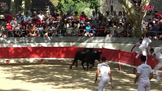 Jonquières St Vincent le 31 Août 2023