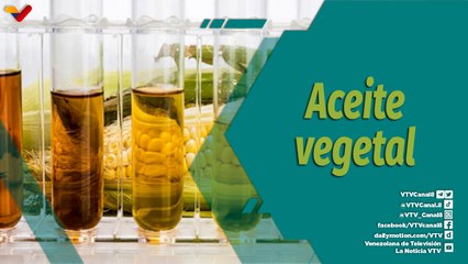 Punto Verde | Recicla aceite vegetal con Biodiesel y cuida el ambiente