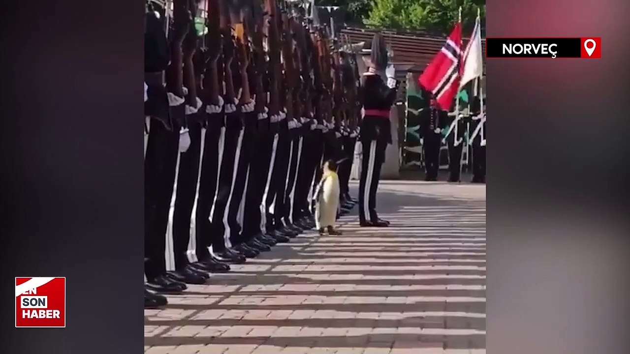 Tümgeneral Penguen Sir Nils Olav, Norveç'te askeri törene katıldı