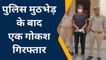 रामपुर: मुठभेड़ के बाद एक गोकश गिरफ्तार, पुलिस पर की फायरिंग