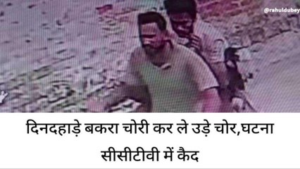 सुल्तानपुर: कैमरे में कैद चोरी, बाइक पर बकरा ले उड़े चोर.....