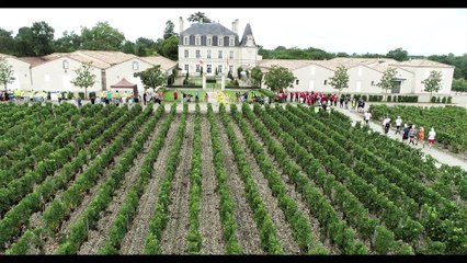 Replay drone Marathon du Medoc 2023