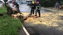 Avenida Rocha Pombo é liberada após corte de árvore e substituição de poste