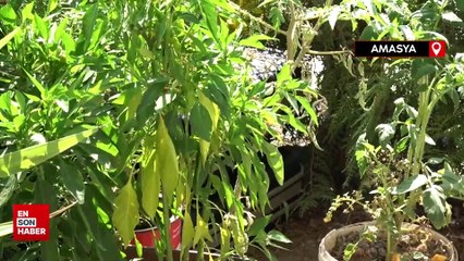 Amasya'da bomba sanılan çantalar boş çıktı