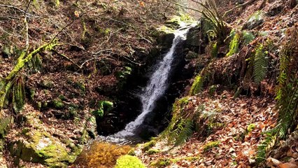 "Bien-être" Eau grande cascade - Relaxation détente