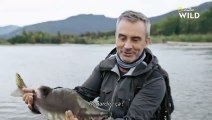 DERNIERS GÉANTS, SAMEDI 12 NOVEMBRE À 18.20 SUR NATIONAL GEOGRAPHIC WILD