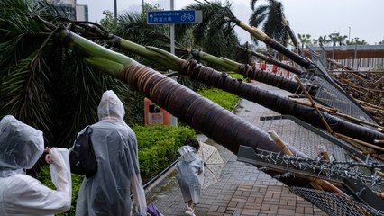 El tifón Saola se debilita a su paso por el sur de China