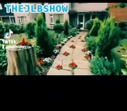 MR SMITH WE NEED YOU NOW | AT IT CURRENT RATE THE RACK WEED WILL HAVE SUCCESSED ALL LONDON WITH FEW HOURS | LUKE LUKE LUKE | AM BLEETHLEEEN NOW | HOW FAR THE SPREAD IT GOT THE HOLE OF OUR SCHOOL GROUNDS | THE SARAH JANE SMITH ADVENTURES