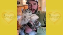 Awww So Cute!!! Cute Cats Kind Kisses - Cute & Funny Cats Videos   PETASTIC