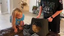 Cats Being JERKS! Savage Cats Attacking People Compilation   PETASTIC