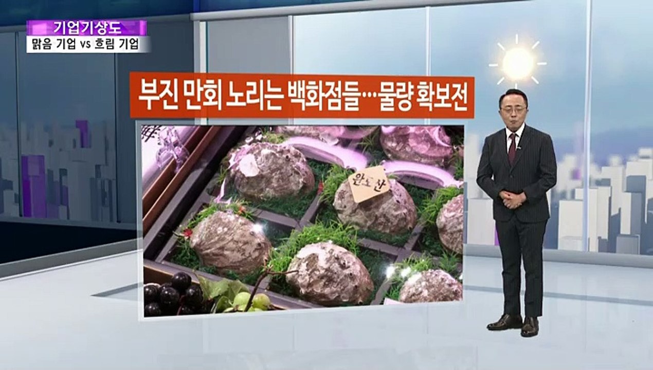 [기업기상도] 기회 잡아 맑은 기업 vs 사고 처해 흐린 기업
