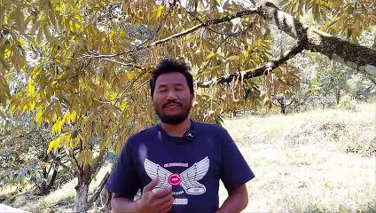 APA ITU SONGOLIKUR?? || spoken word - cerita kehidupan