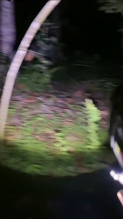 Paranormal activity ghost on camera part 231