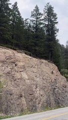 Sheep Escape Encounter With Wolf