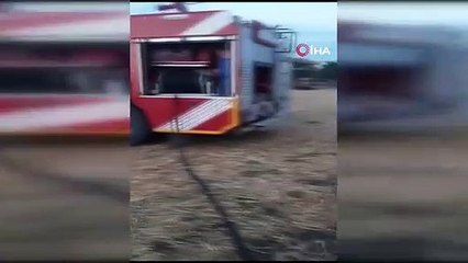 90 petits bovins ont péri dans un incendie dans une étable à Çanakkale