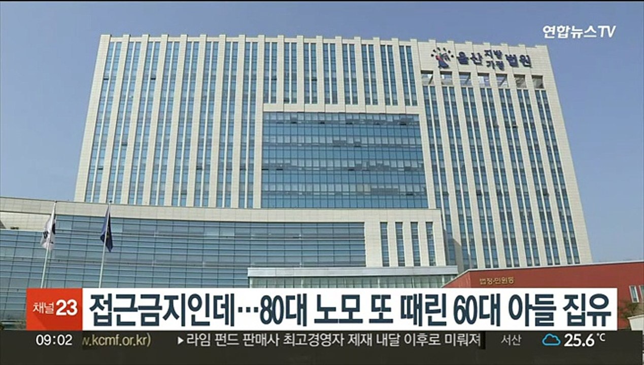 접근금지인데…80대 노모 또 때린 60대 아들 징역형