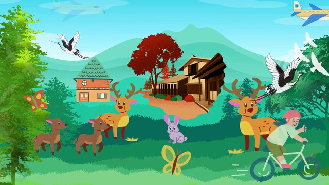 Video animasi - hutan - hewan hewan